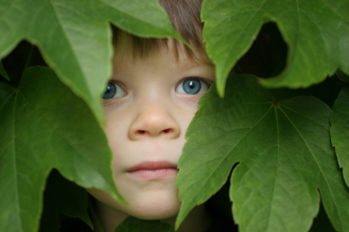 [Photo of a boy hiding in the bushes]