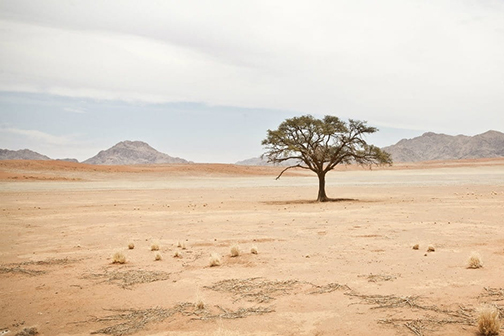[Photo of a desert landscape]