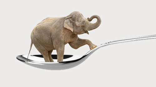 [Photo of an elephant perched on a spoon]