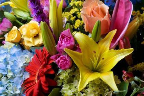 [Photo of a many-colored flower arrangement]