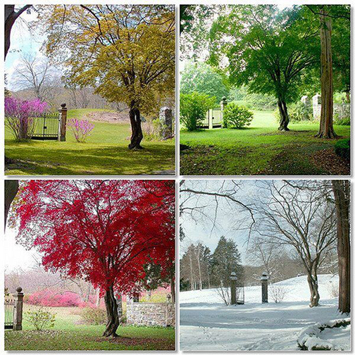 [Photo of four seasons]