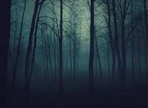 [Photo of dark woods]