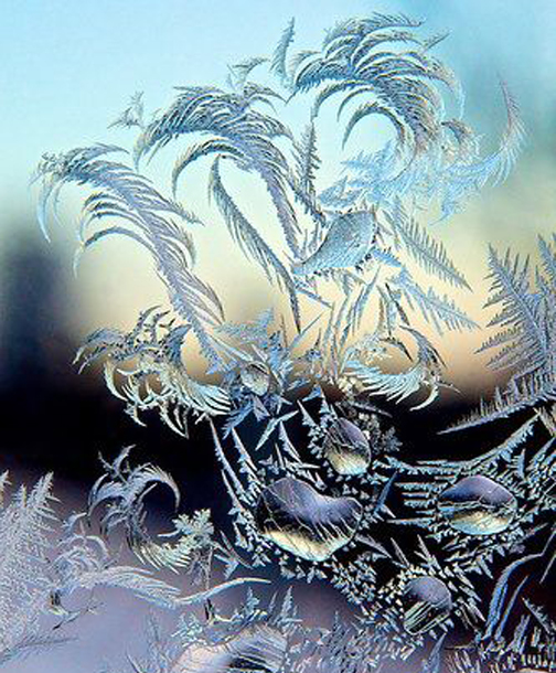 [Photo of frost on a window]