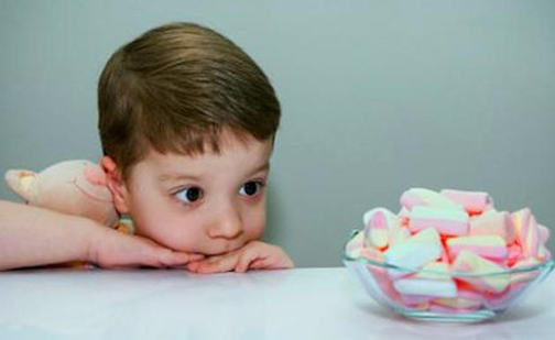 [Photo of a child looking at a bowl of marshmallows]