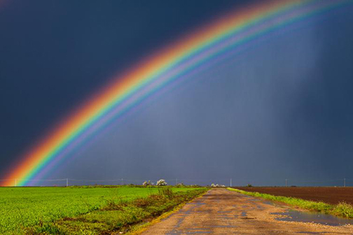[Photo of a rainbow]