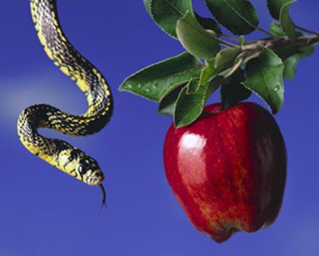 [Photo of a serpent and an apple]