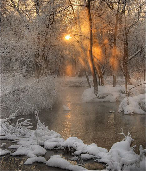 [Photo of a sunset in the winter woods]