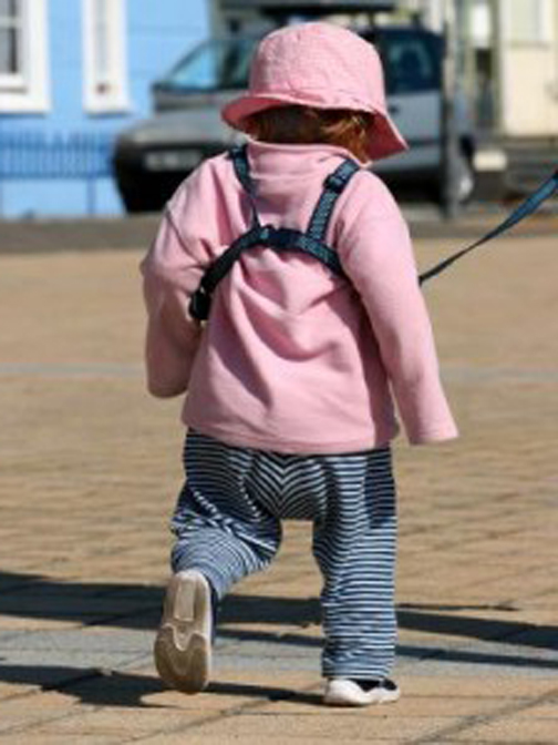 Photo of a toddler wearing a harness