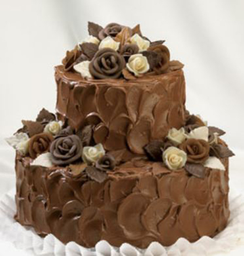 [Photo of a two-tier chocolate cake]